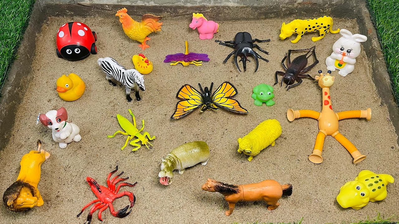 Learning Animal Names and Bug Insect for Kids | Duck, Giraffe, Ladybug ...