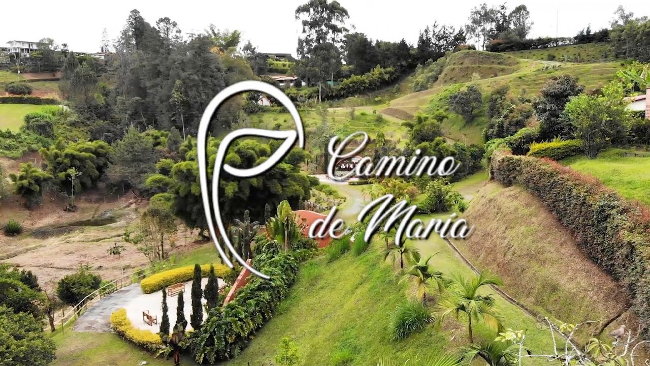 Hijos e Hijas del Fiat - Camino de María