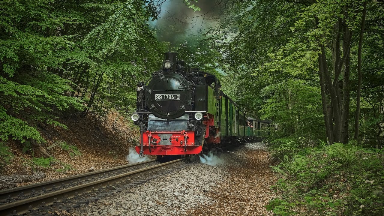 Hauptsaison beim Rasenden Roland (2023) //Rügensche Bäderbahn//RüBB//Insel Rügen//Schmalspurbahn