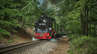 Hauptsaison beim Rasenden Roland (2023) //Rügensche Bäderbahn//RüBB//Insel Rügen//Schmalspurbahn