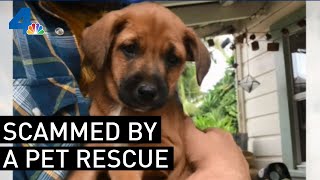 Several Claim They Were Scammed by Pet Rescue | NBCLA
