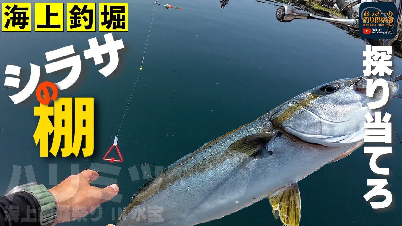 鯨を釣り上げた 世界唯一の