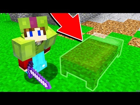 the-invisible-minecraft-bed-troll!-(bed-wars-troll)