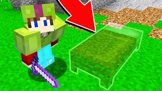 THE INVISIBLE MINECRAFT BED TROLL! (Bed Wars TROLL)