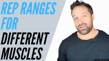 Rep Ranges For Different Muscles
