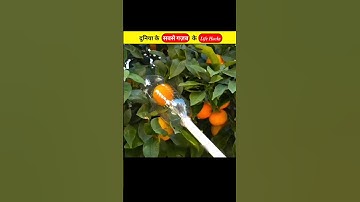 दुनिया के सबसे कमाल के Life Hacks 🤯| #shorts #viral #trending #ytshorts
