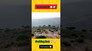 “Dharti par hi alien planet 😨”#shortvideo #trending #facts #yemen #drangon#tree  #amazingfacts