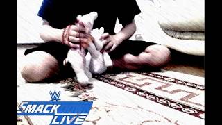 pig vs koza but... TIAPI RETURN and make match with koza and she winner june 25 2026