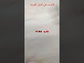 الأنترنت في الدول العربية: