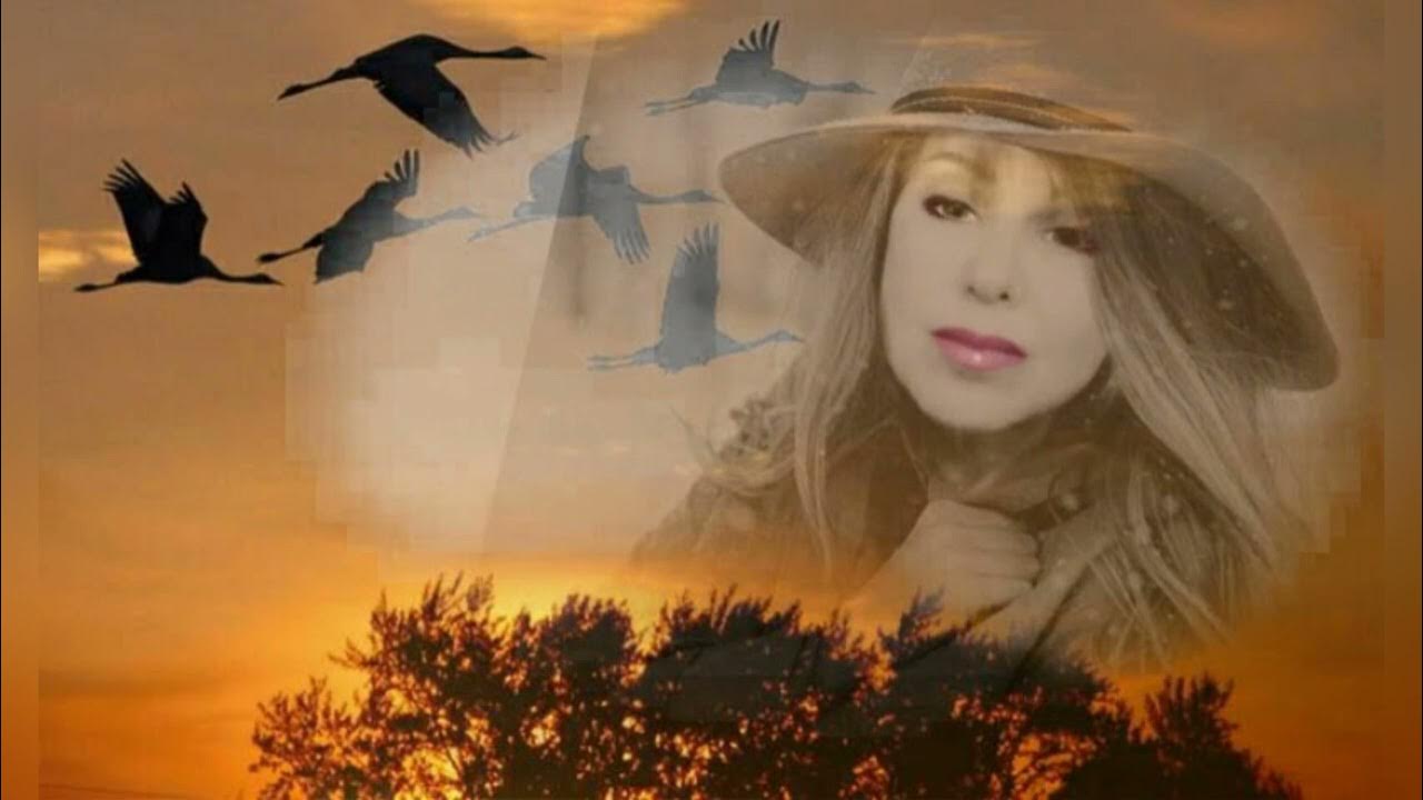 время летит. дни летят летят года как птицы. журавли возвращаются. стихи как птицы. как летят года.