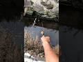 #Fishing #mancing #foryou #RiverFishing #Microfishing #OutdoorLife #catchandrelease #bangfaizwoi