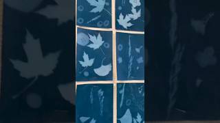 Harnessing the Power of Nature: Shine Bright and Unleash Your Creativity with Sun Art Prints!