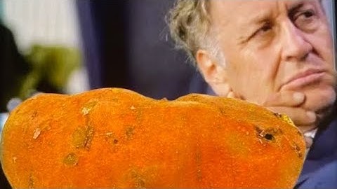 Amc stock Adam Aaron #amcstock #amcshortsqueeze #apestogetherstrong #stockmarket