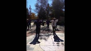 Mu Lambda Omega Psi Phi founders day 2014 #103