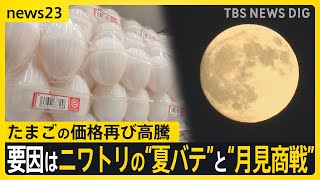 “エッグショック”再び…食卓にかかせないたまごの価格が高騰　要因はニワトリの“夏バテ”と“月見商戦”【news23】｜TBS NEWS DIG
