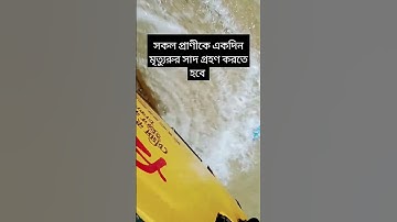 সবাই একদিন চলপ যেতে হবে #عبدالرحمن_مسعد_تلاوة_جديدة #عبدالرحمن_مسعد