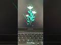 She Wants Flowers, But Computer Science Students Do This Instead