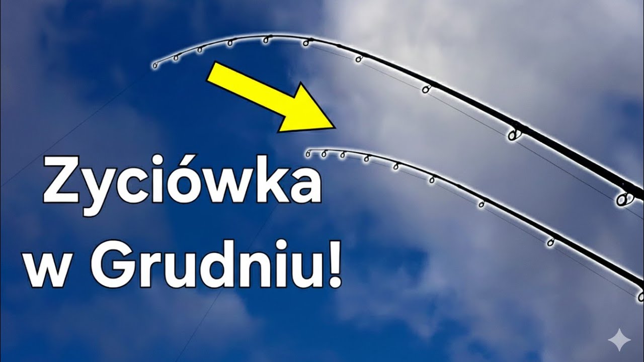 Życiówka w Grudniu na Koniec Roku! Ta Ryba Zaskoczyła! Klasyczny Rzeczny Feeder Wędkarstwo PZW