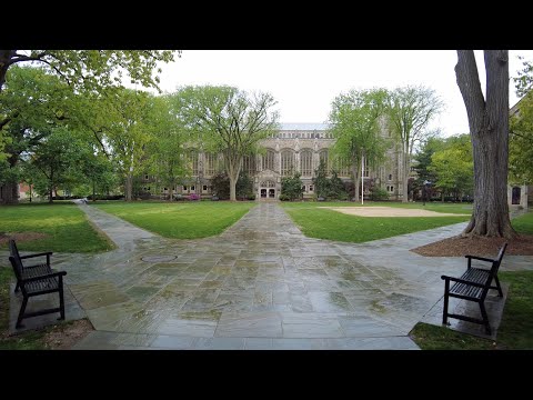 Ann Arbor 4K Rain Walk - University of Michigan Central Campus Tour - The Diag - Law Quad - The Cube