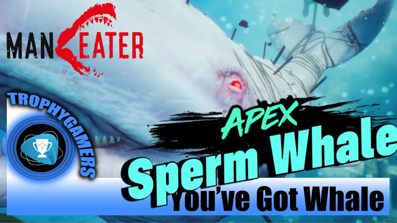 ManEater - You’ve Got Whale - Kill the Gulf Apex - Kill the Apex Sperm Whale Predator