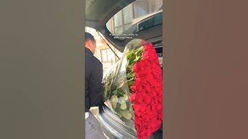 Thumbnail of Beautiful Red Rose flowers vedio ##short video