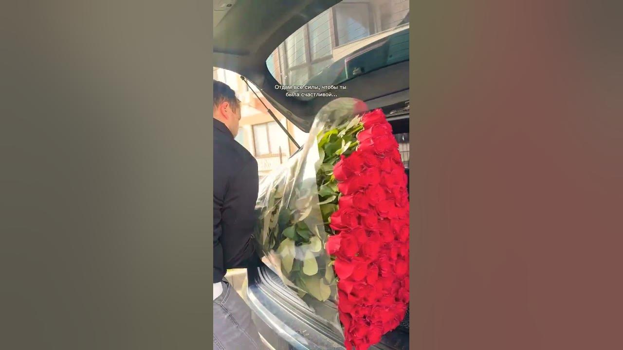 Beautiful Red Rose flowers vedio ##short video Beautiful Red Rose flowers vedio ##short video