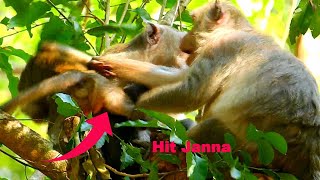 Crying terrified hurt / mom Jade push throw skinny monkey Janna out from beg milk & disturb Jody