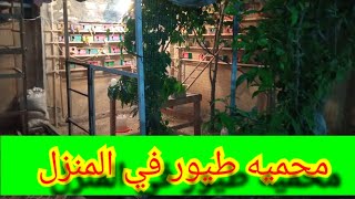 محميه طيور البادجي