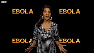 Where did Ebola come from? - BBC What's New