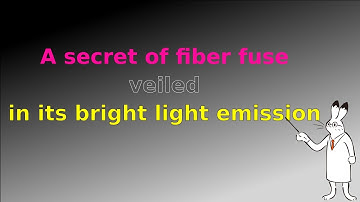 A secret of fiber fuse veiled in its bright light emission