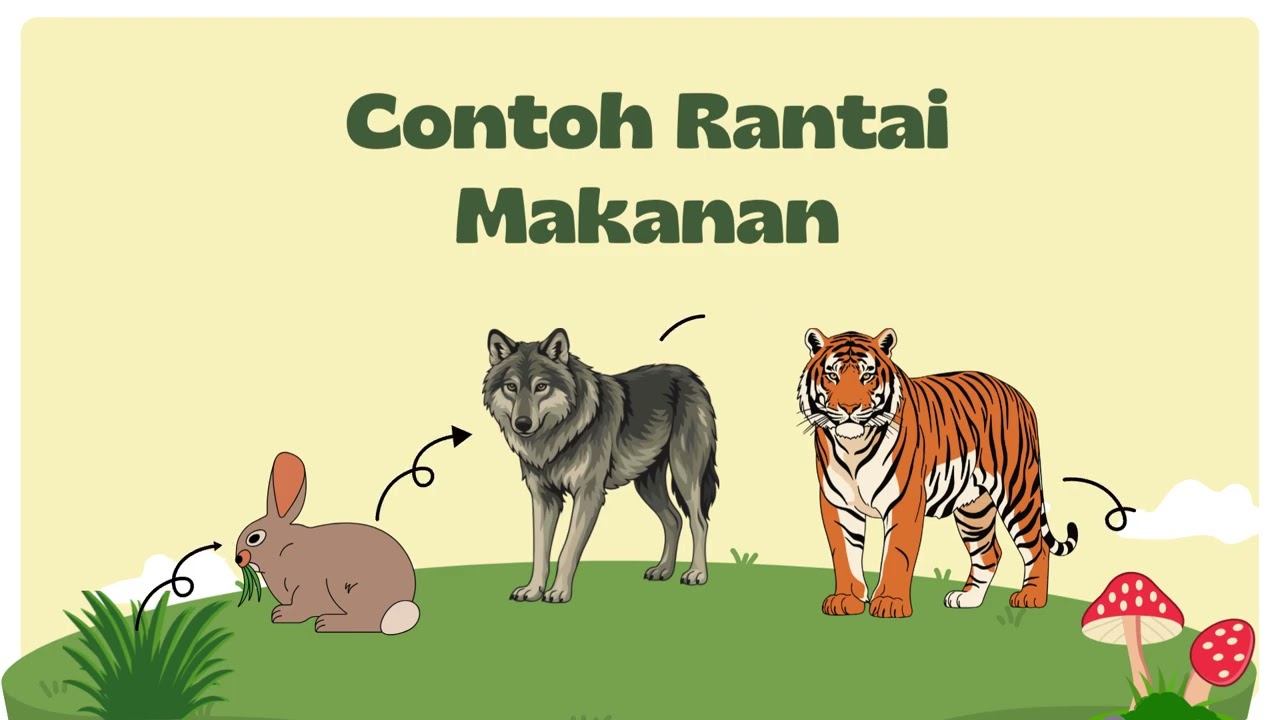 INTERAKSI DALAM EKOSISTEM [PEMBELAJARAN IPAS KELAS 3 BAB 