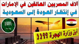 آلاف المصريين العالقين في الإمارات في إنتظار العودة إلى السعودية | مطلوب تدخل سريع من وزارة الهجرة