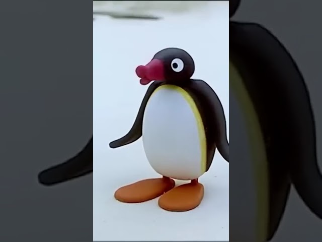 Story Time! 🐧 #Pingu