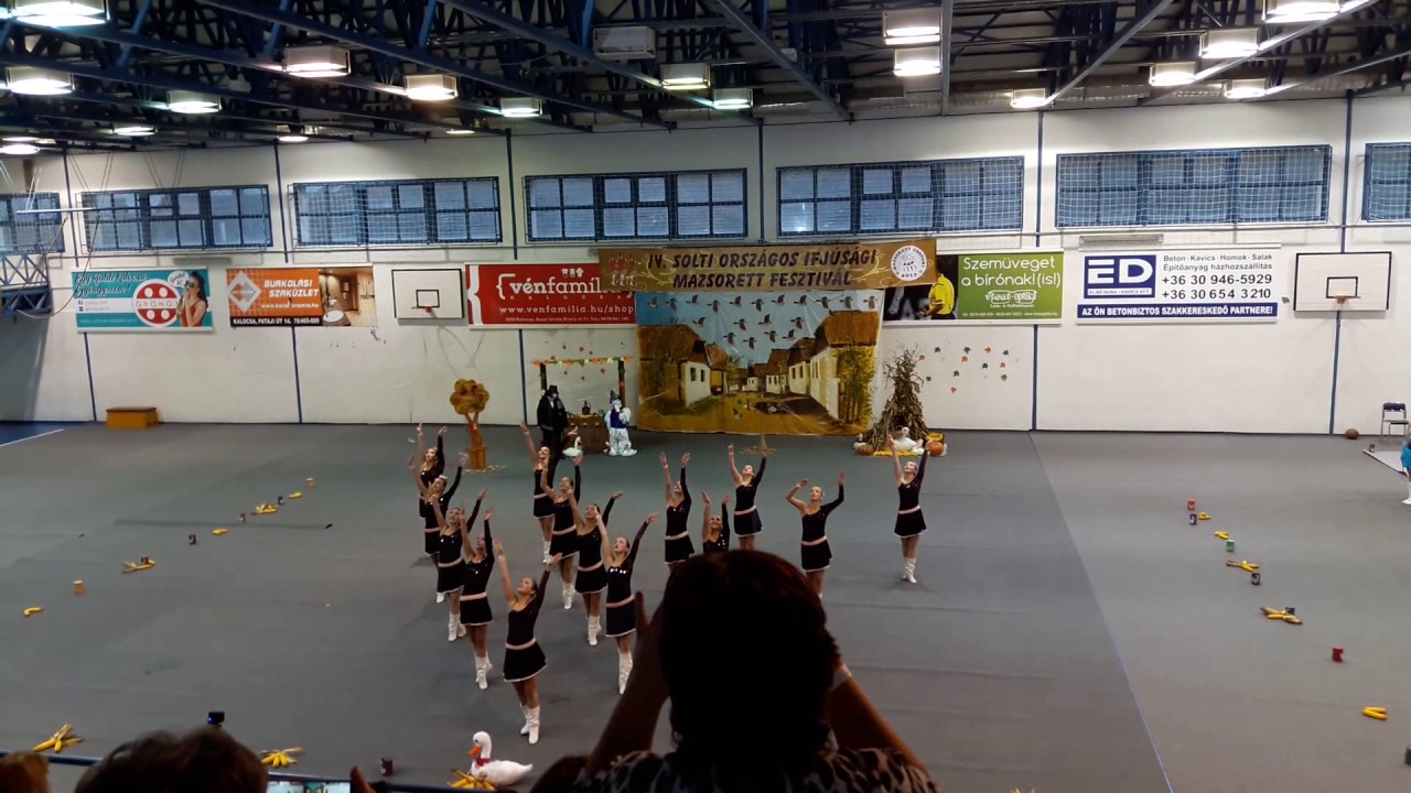 DME Barackvirág 2016.11.12 bot