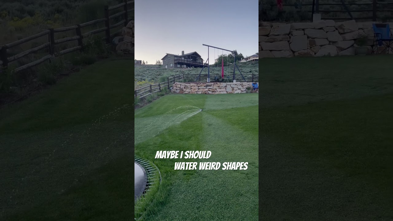 First day of summer FROST 