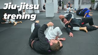 Jiu- Jitsu Trening