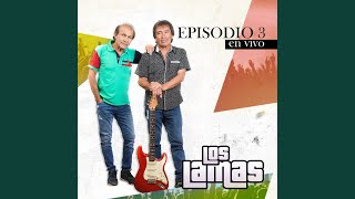 Video thumbnail of "Los Lamas - Voy Buscando Tu Amor (En Vivo)"