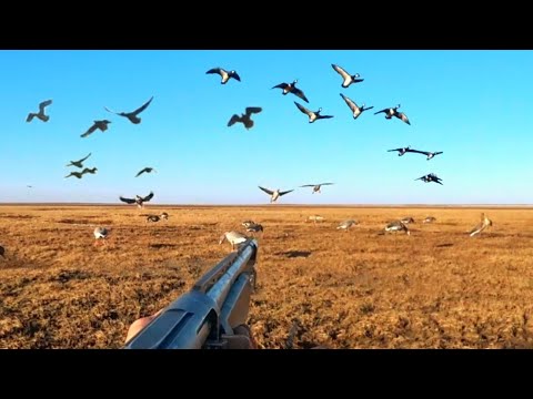 THE LAKE WHERE THERE ARE THOUSANDS OF GEESE!!! SPRING GOOSE HUNTING 2026!!