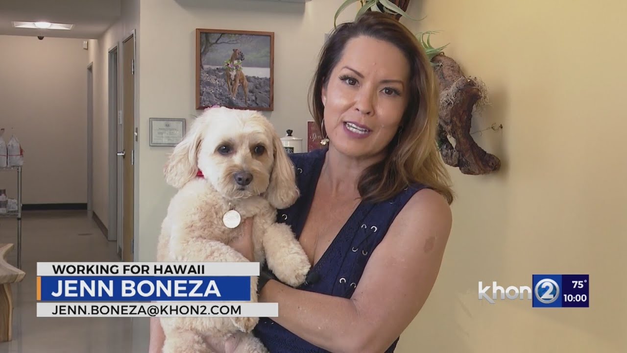 Pet microchip company halts operation, but the chips still work