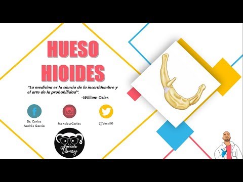 Anatomía - Hueso