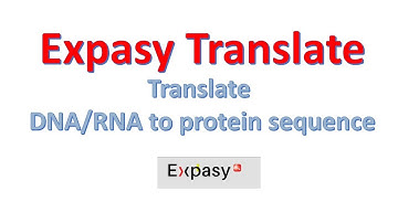 Expasy Translate Tool | Translate DNA/RNA Sequence to Protein Sequence | @BiologyLectures