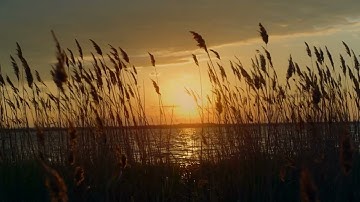 [4K ASMR] PERFECT SUNSET 60min Ocean Waves, Beach Sunset | No Loop