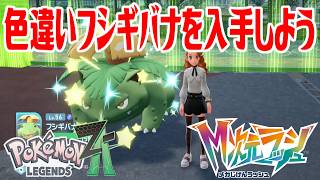 ポケモンZ-A】色違いフシギバナを入手しよう【Pokémon LEGENDS Z-A M
