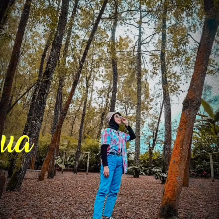 mentahan story wa 13 detik terbaru 2021