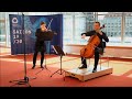 Capture de la vidéo Dalia Richter Und Hans-Ludwig Raatz; Händel/Halvorsen Passacaglia | Phil_Zu_Zweit
