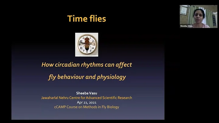 Time Flies: How circadian rhythms affect fly behaviour and physiology - Dr Sheeba Vasu