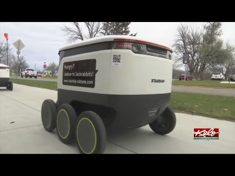 Robots delivering food on SDSU campus