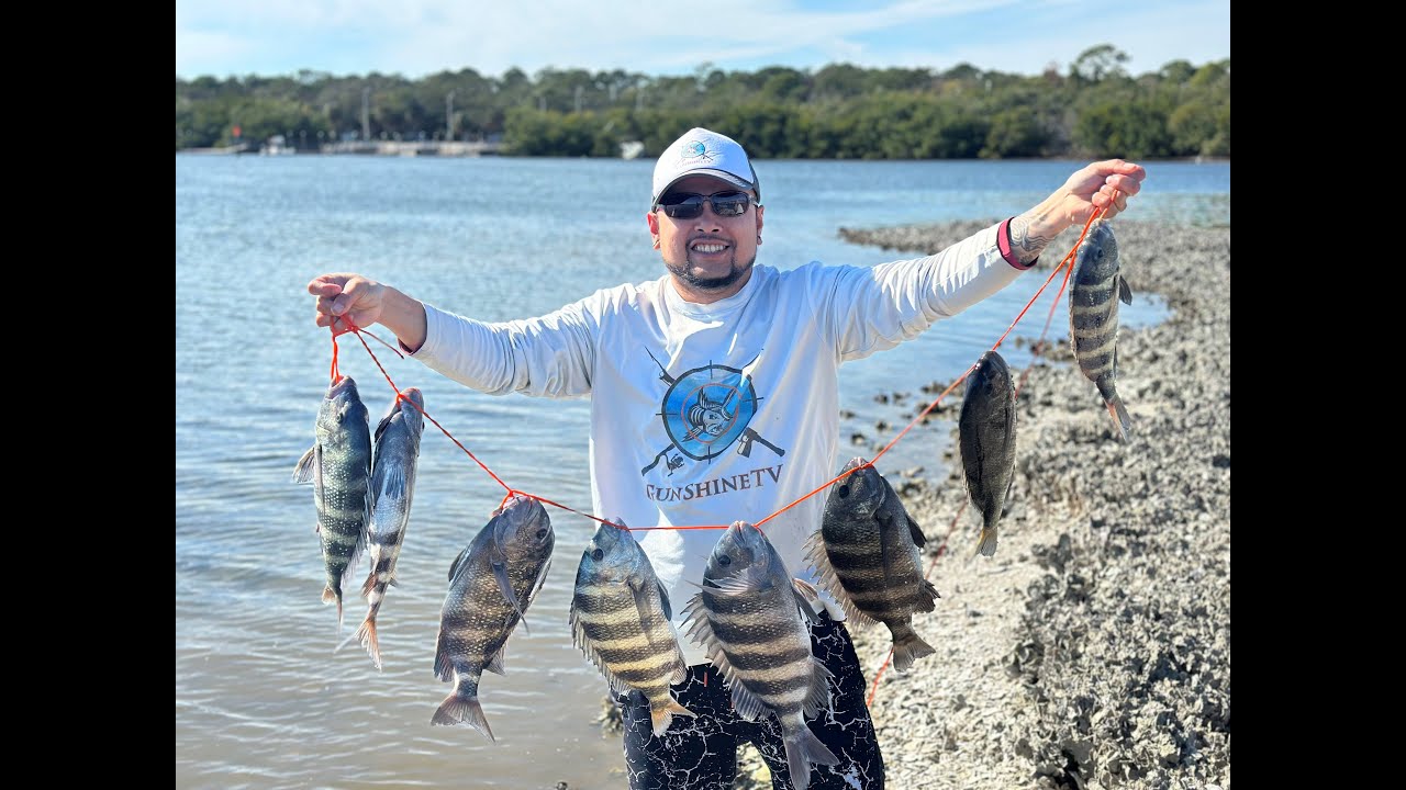 Do mesh bait bags ACTUALLY work? Sheepshead and Black Drum bait