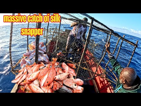 ​Traditional Deep Water Fish Pots: The Ultimate Snapper Harvest catch and cook