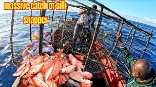 ​Traditional Deep Water Fish Pots: The Ultimate Snapper Harvest catch and cook